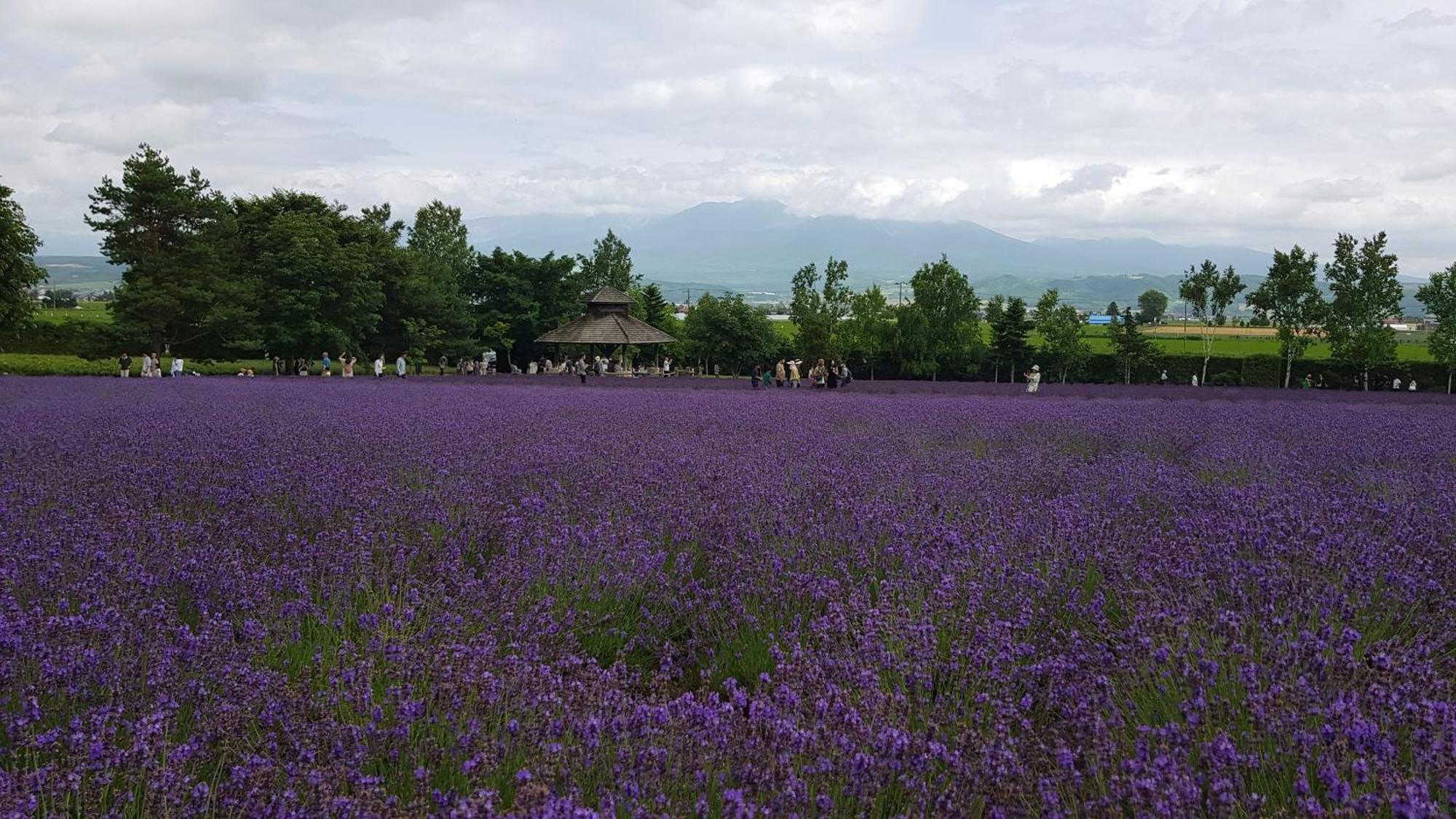 Furano B&B Екстер'єр фото