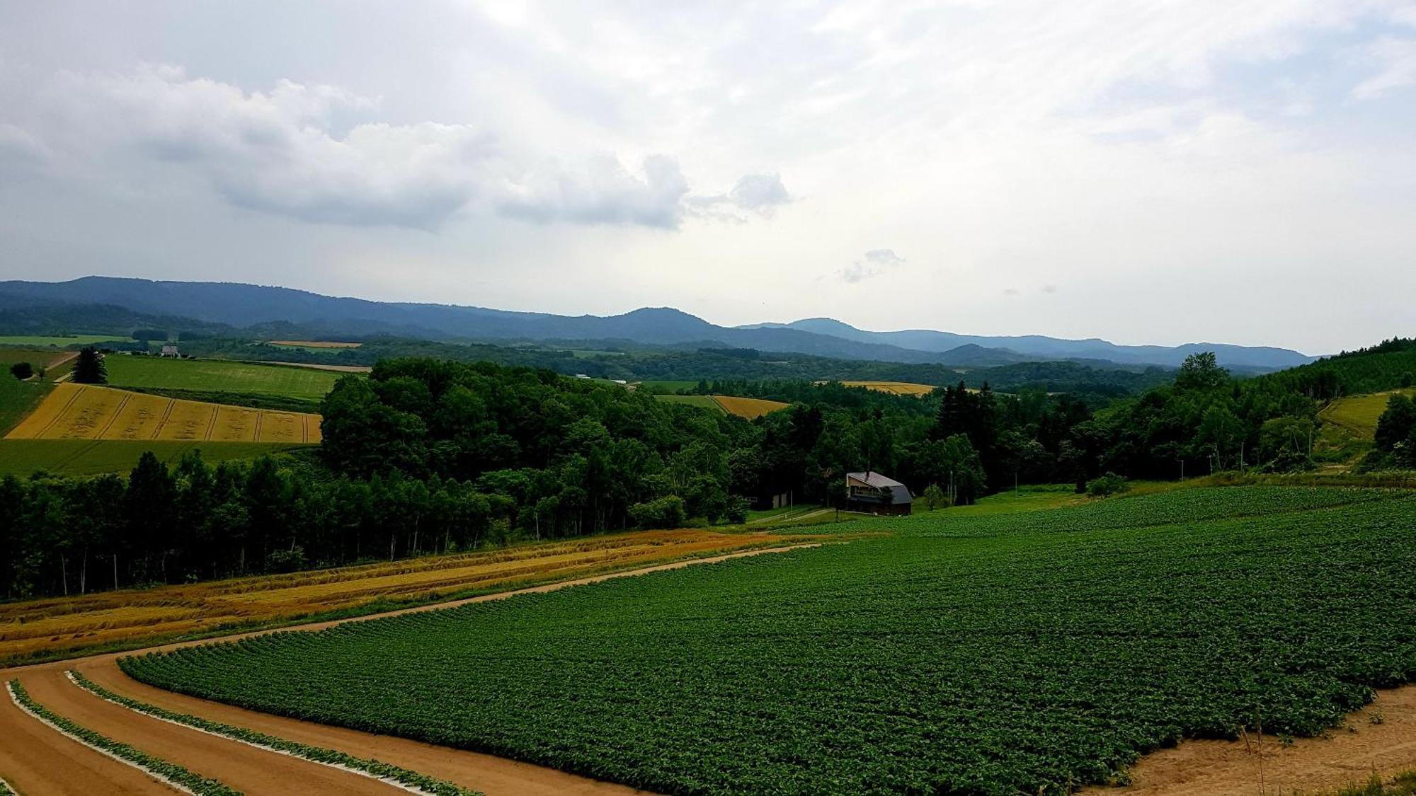 Furano B&B Екстер'єр фото