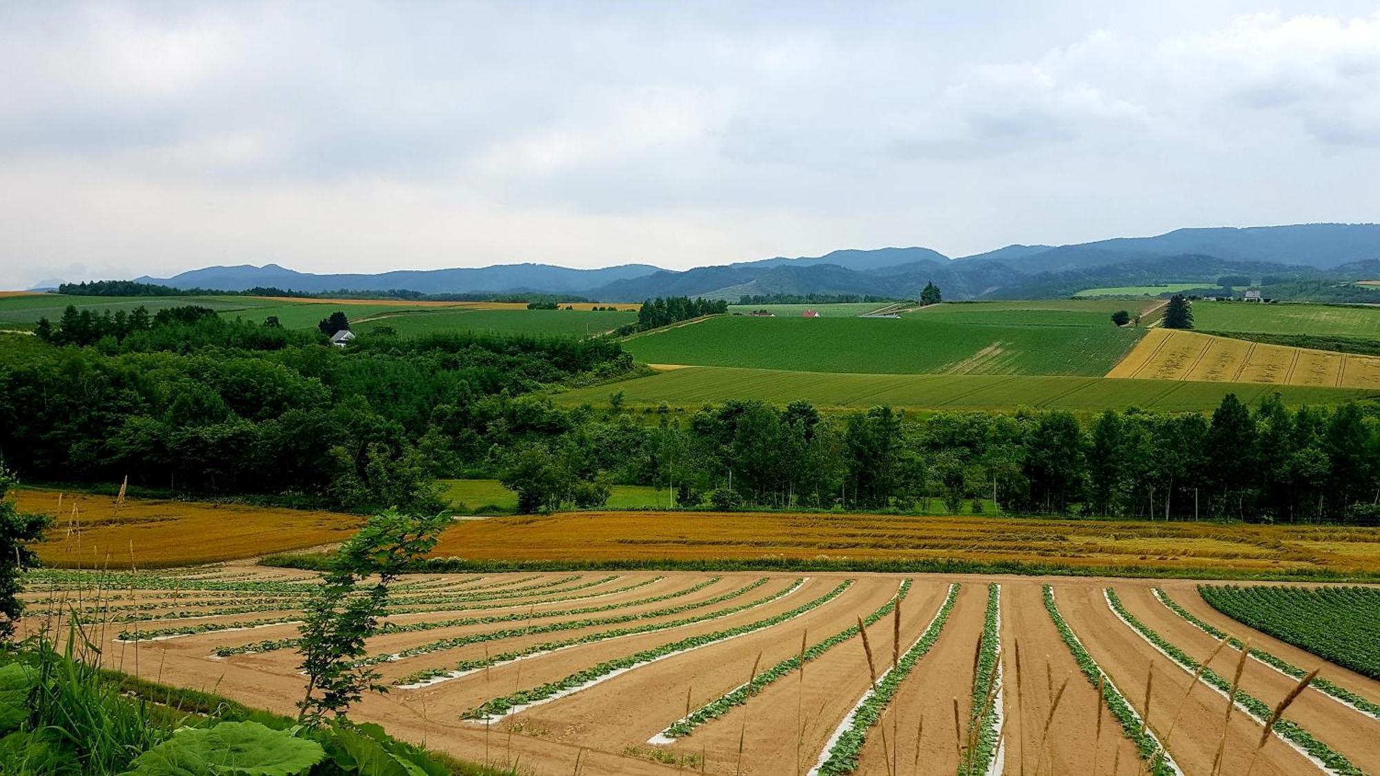 Furano B&B Екстер'єр фото